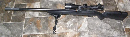 Sako Quad 17hmr.webp