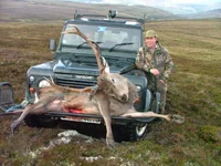 stag_l_rover3_683.webp