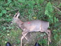 20190519_073841.webp 20190519_073841.webp