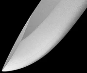 Screen Shot 2020-03-25 at 10.28.40.webp