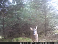 DSCF0994.webp