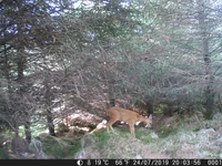 DSCF0001.webp