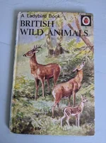 Ladybird.webp