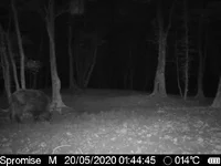 IMG-20200520-WA0007.webp