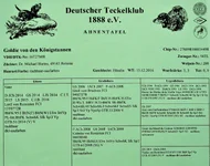 Hazel DTK (2).webp
