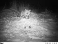 image.webp image.webp