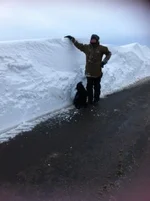 snow.webp snow.webp
