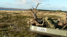 chasse Ecosse 116.webp