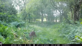 IMG_0001.JPG
