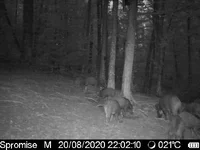 IMG-20200820-WA0049.webp