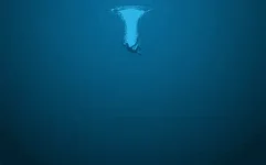 1599091372099.webp