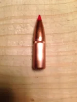 243 95g Bullet FB.webp