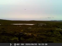 IMAG0340 (2).webp