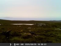 IMAG0343 (2).webp