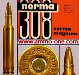 308normamag-493x483.webp