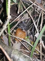 IMG_20201106_200836.webp