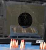 Bisley target 2.webp