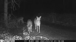 IMAG0481.webp