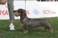 119982311_600721237274722_6366671004821536248_n (1).webp