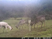 DSCF0189.webp