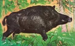 Schiessscheibe 1.webp