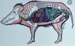 Schiessscheibe 2.webp