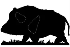 wild boar target.webp