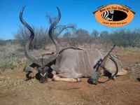 Kudu.webp