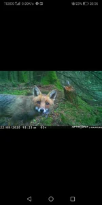 Screenshot_20200522_205640_com.spypoint.spypointApp.webp
