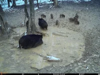 IMG-20210319-WA0028.webp