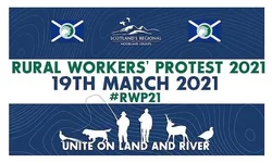 rwp.jpeg rwp.jpeg