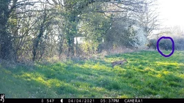 IMG_0009_LI (3).webp