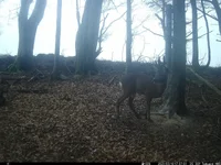 IM_00315.webp