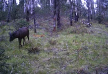 DSCF3639.webp