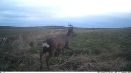 IM_00004.webp