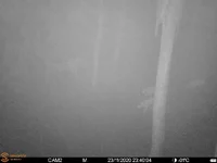 IMG-20210501-WA0002.webp