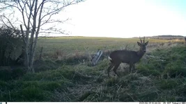 IM_00004 (1).webp