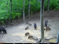 IMG-20210516-WA0015.webp