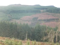 Isle Arran Brodick beat 2013 003.webp