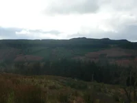 Isle Arran Brodick beat 2013 013.webp
