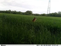PICT0016.webp
