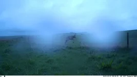 IM_00015.webp
