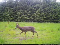 IM_00007 (1).webp