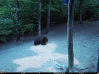 IMG-20210612-WA0012.webp