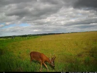 IM_00082 (1).webp