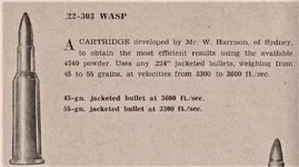 wasp (2).webp wasp (2).webp