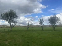 AF7C1F68-DEF3-45AC-A73C-19B1E4F957DB.jpeg AF7C1F68-DEF3-45AC-A73C-19B1E4F957DB.jpeg