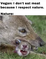 vegan nature.webp vegan nature.webp