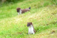 BPW_1401.webp