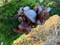 IMG_8778.jpeg